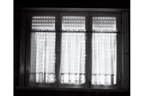 Guido Triboulard